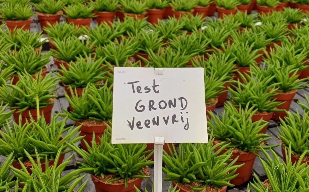 Amigo Plant gaat veenvrij