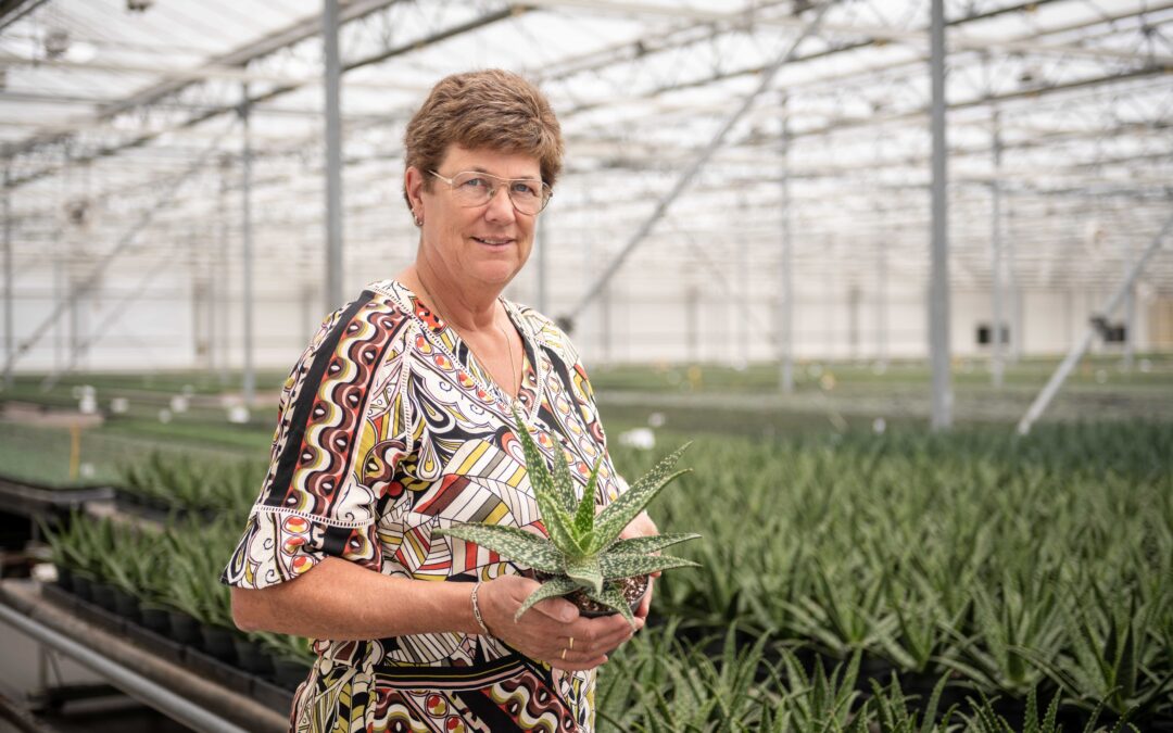 Aloe Medivera® Tropical genomineerd voor de Glazen Tulp Award