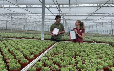 Dubbel prijs voor soorten uit eigen veredeling